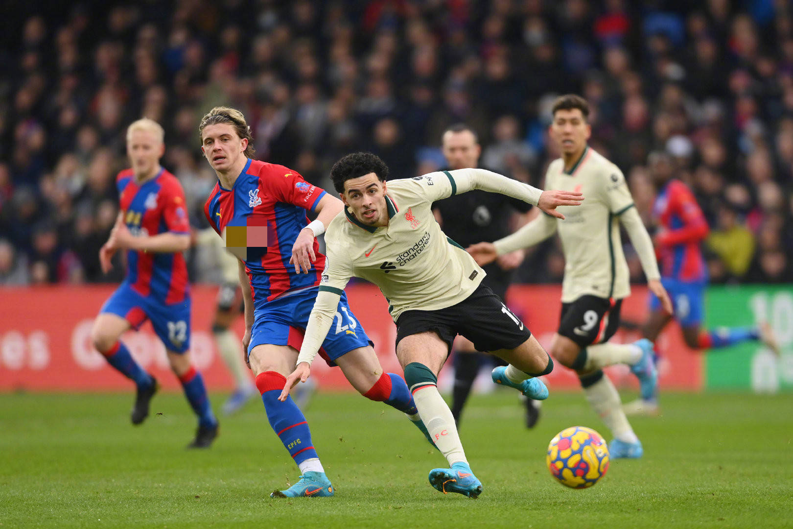 下面我们将 下面我们将